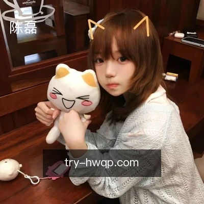 陈磊